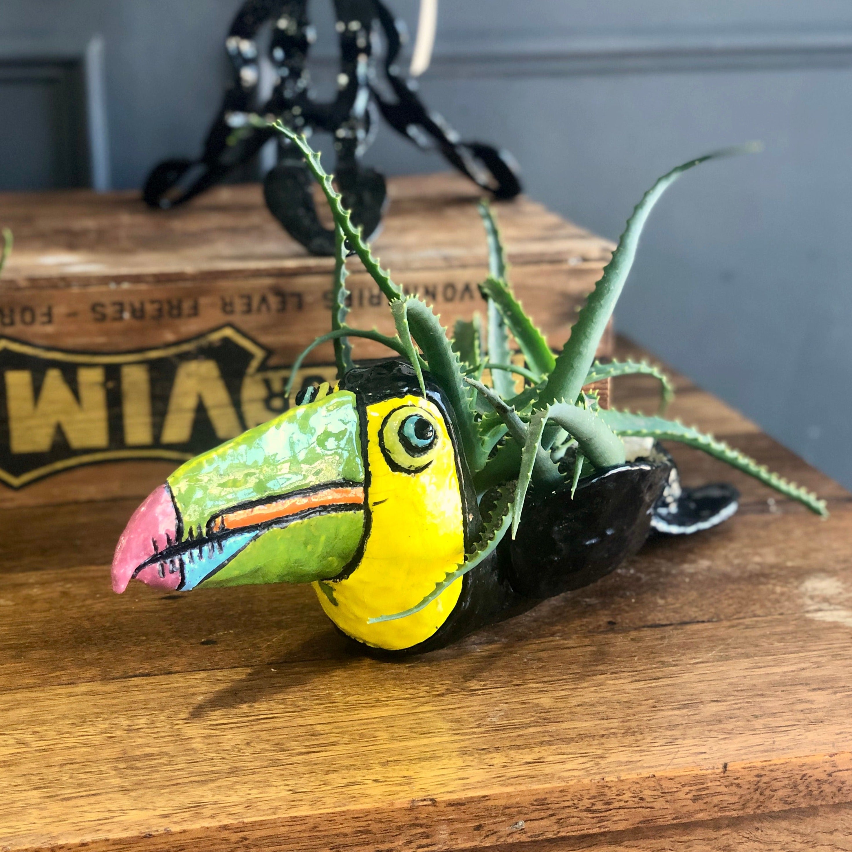 Kaye Clancy Ceramics - Timothy Toucan Planter