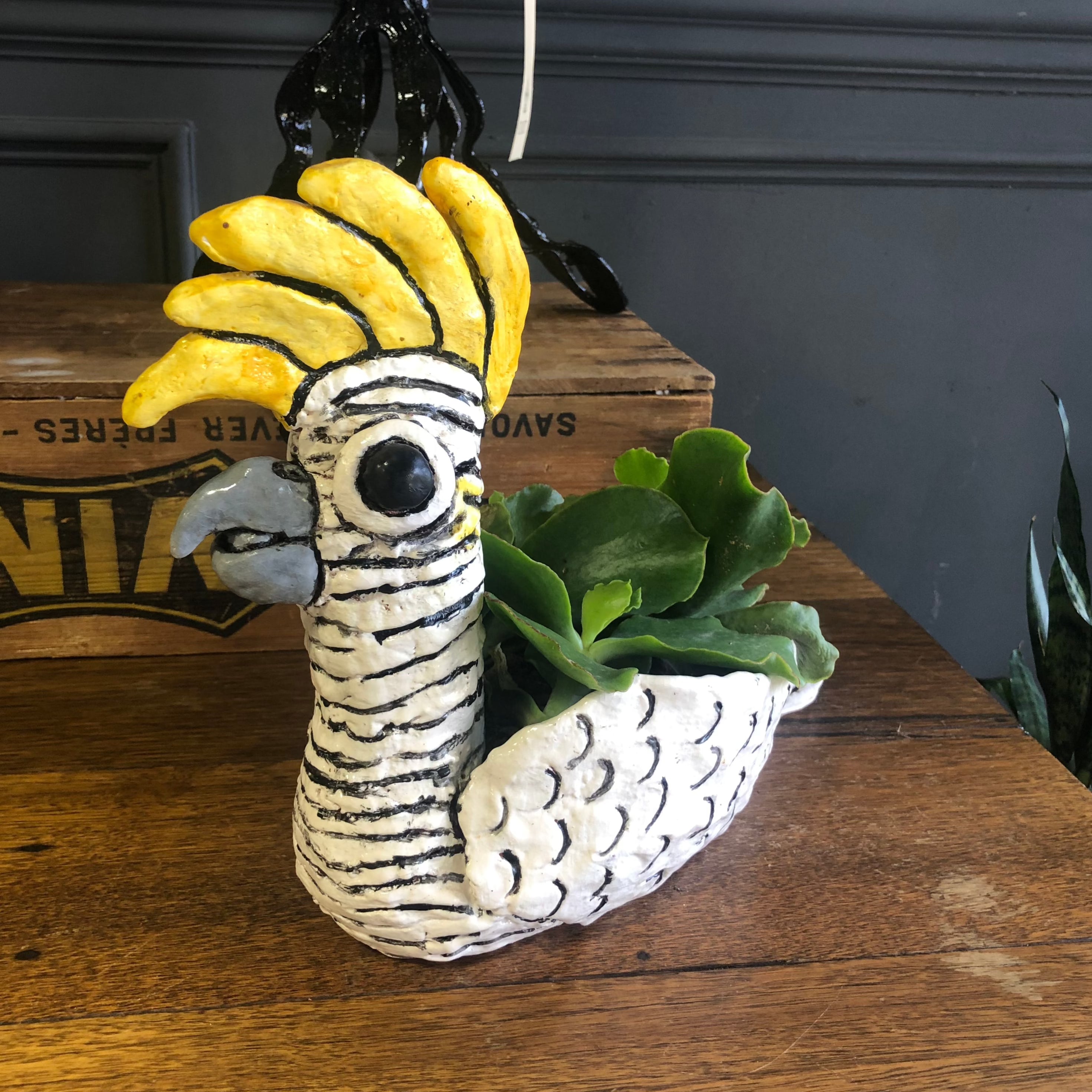 Kaye Clancy Ceramics - Curly Cockatoo