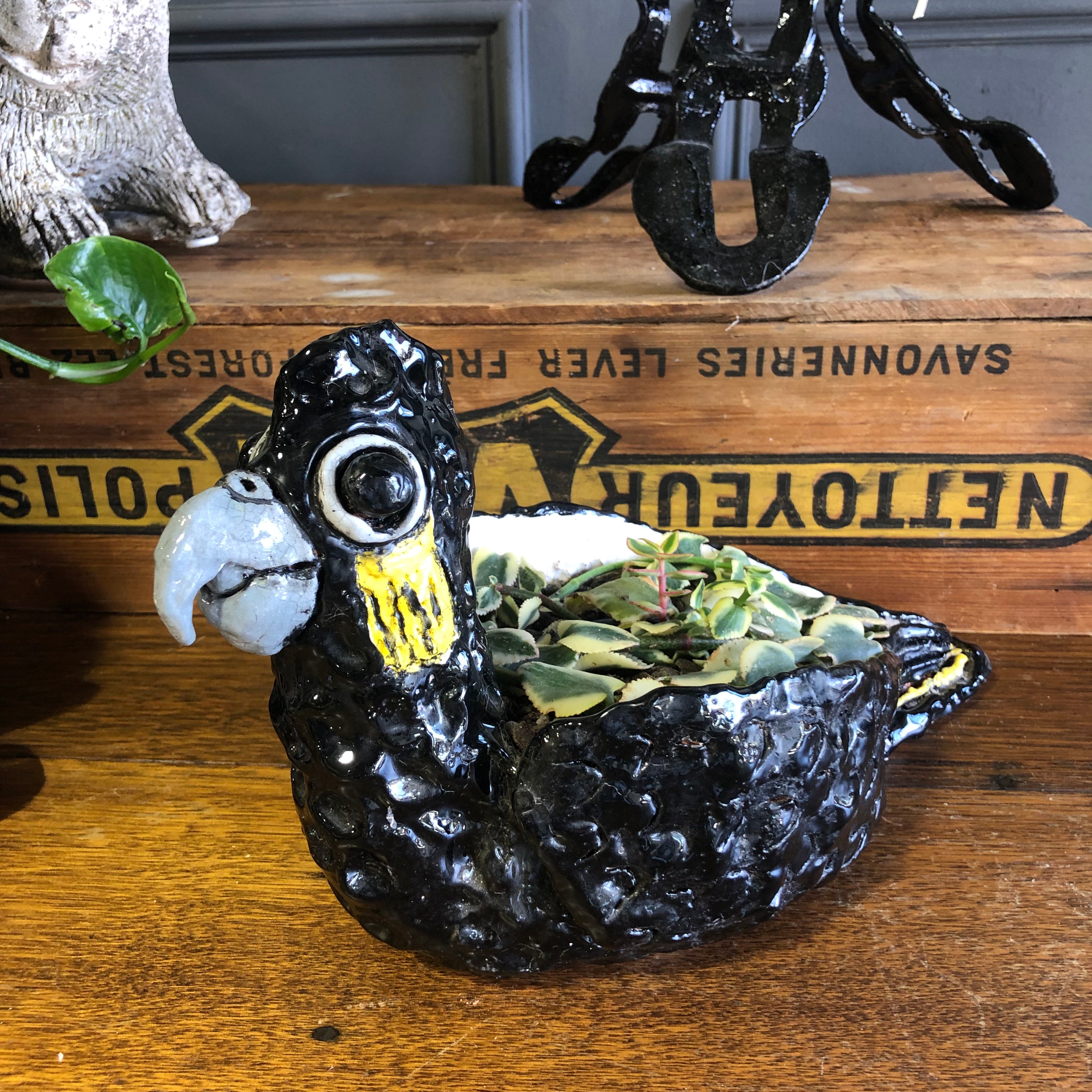 Kaye Clancy Ceramics - Beethoven Black Cockatoo Planter