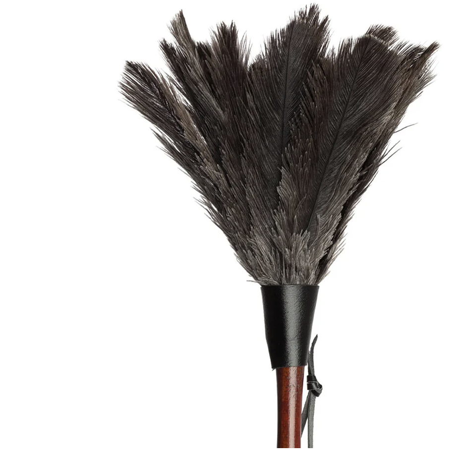 Ostrich Feather Duster 28cm - Redecker