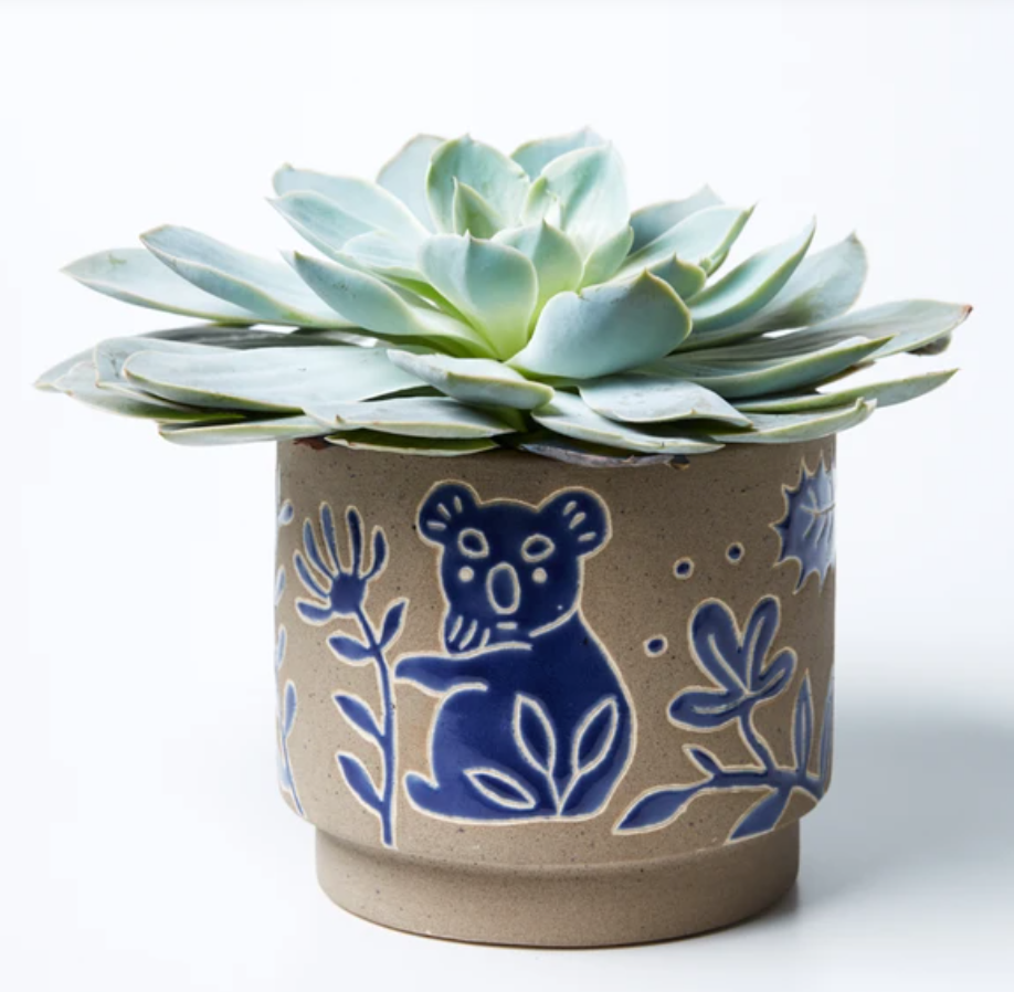 Koala Planter